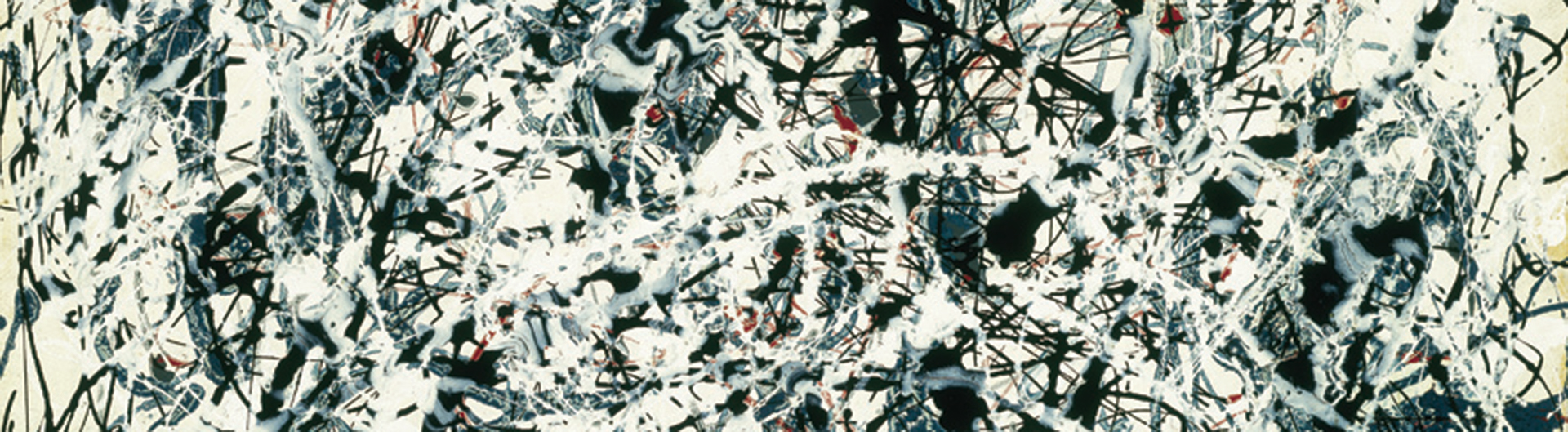 pollock detail